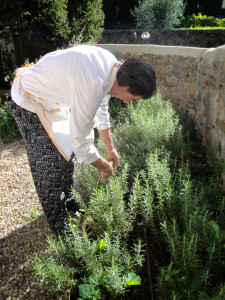 Chef picks up the fresh rosemary for cooking