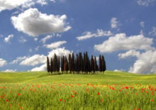 tuscany view