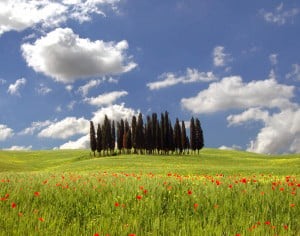 tuscany view